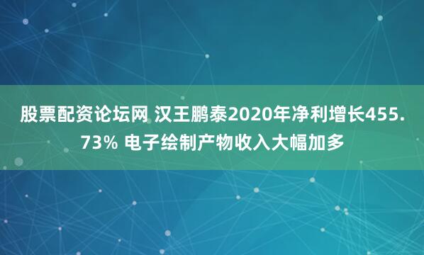 股票配资论坛网 汉王鹏泰2020年净利增长455.73% 电子绘制产物收入大幅加多