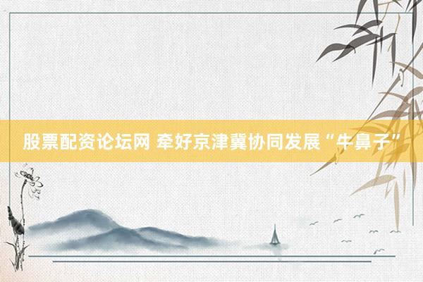 股票配资论坛网 牵好京津冀协同发展“牛鼻子”