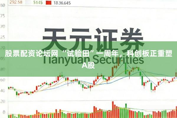 股票配资论坛网 “试验田”一周年，科创板正重塑A股