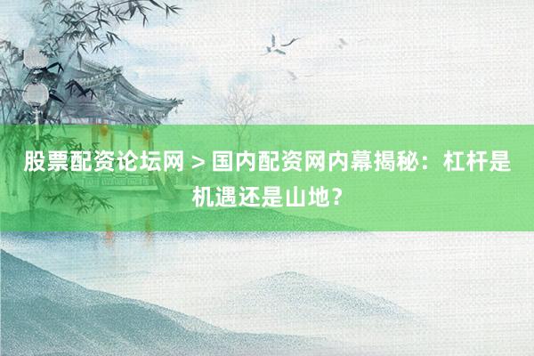 股票配资论坛网 > 国内配资网内幕揭秘：杠杆是机遇还是山地？